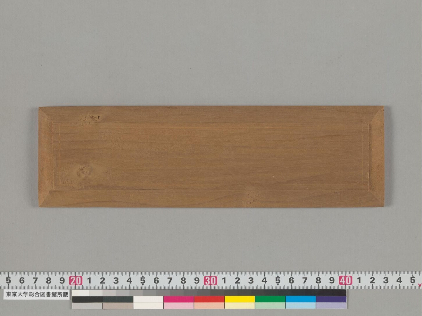 Sarvajñamitrāvadāna manuscript preview