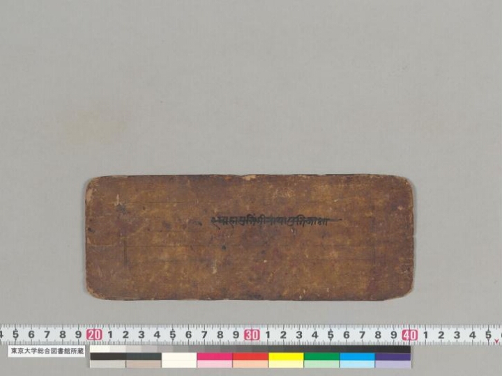 Sarvatathāgatoṣṇīṣasitātapatrāvidyārājñī manuscript preview