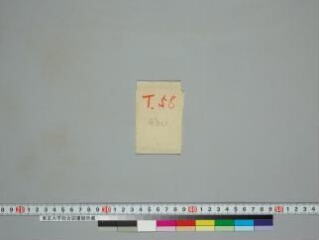 Composite text folio 1