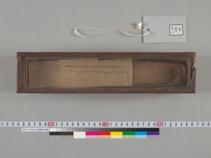 Saṃvarodayā nāma maṇḍalopāyikā (?) manuscript preview