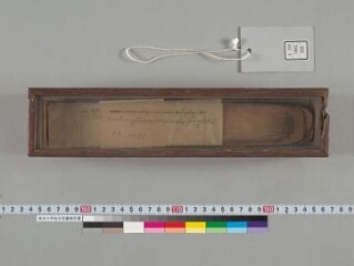 Saṃvarodayā nāma maṇḍalopāyikā (?) folio 1