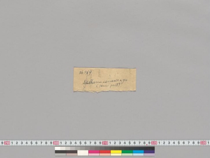 Sādhanasamuccaya manuscript preview