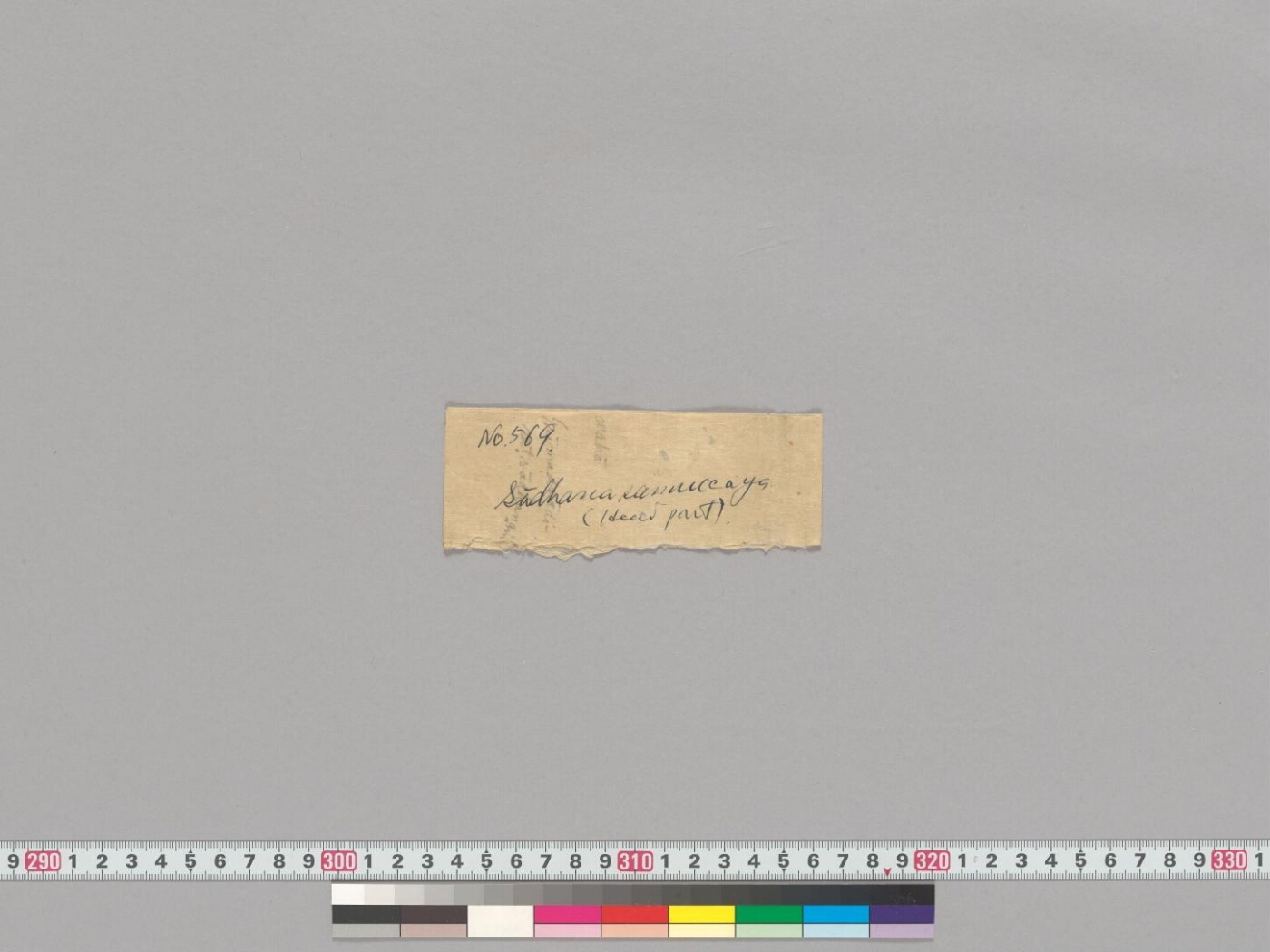 Sādhanasamuccaya manuscript preview