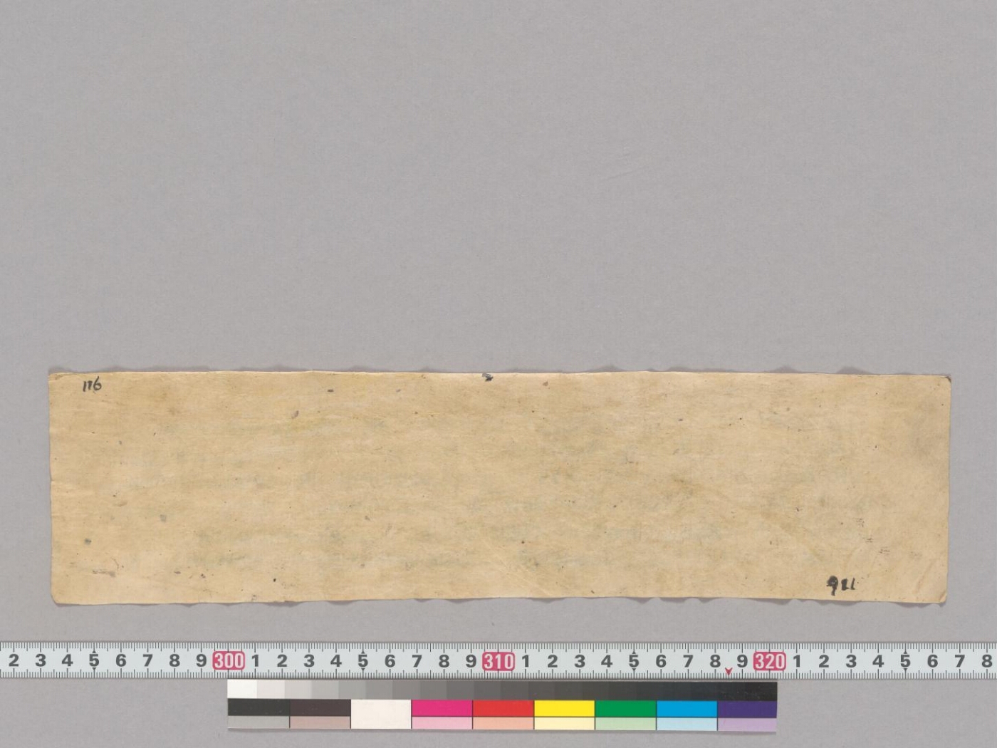 Sāmānyasiddhidūṣaṇa manuscript preview