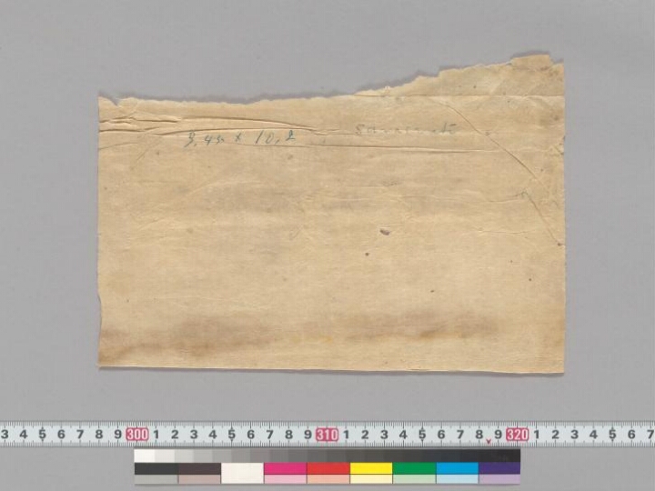 Sārasvatīprakriyā manuscript preview