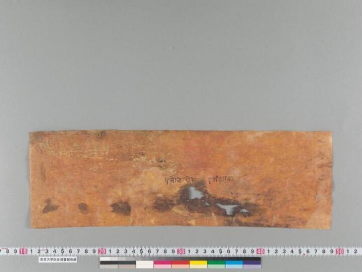 Siddhināgārjuna and other medical works manuscript preview
