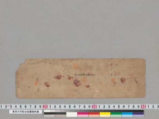 Sukhāvatīvyūha manuscript preview
