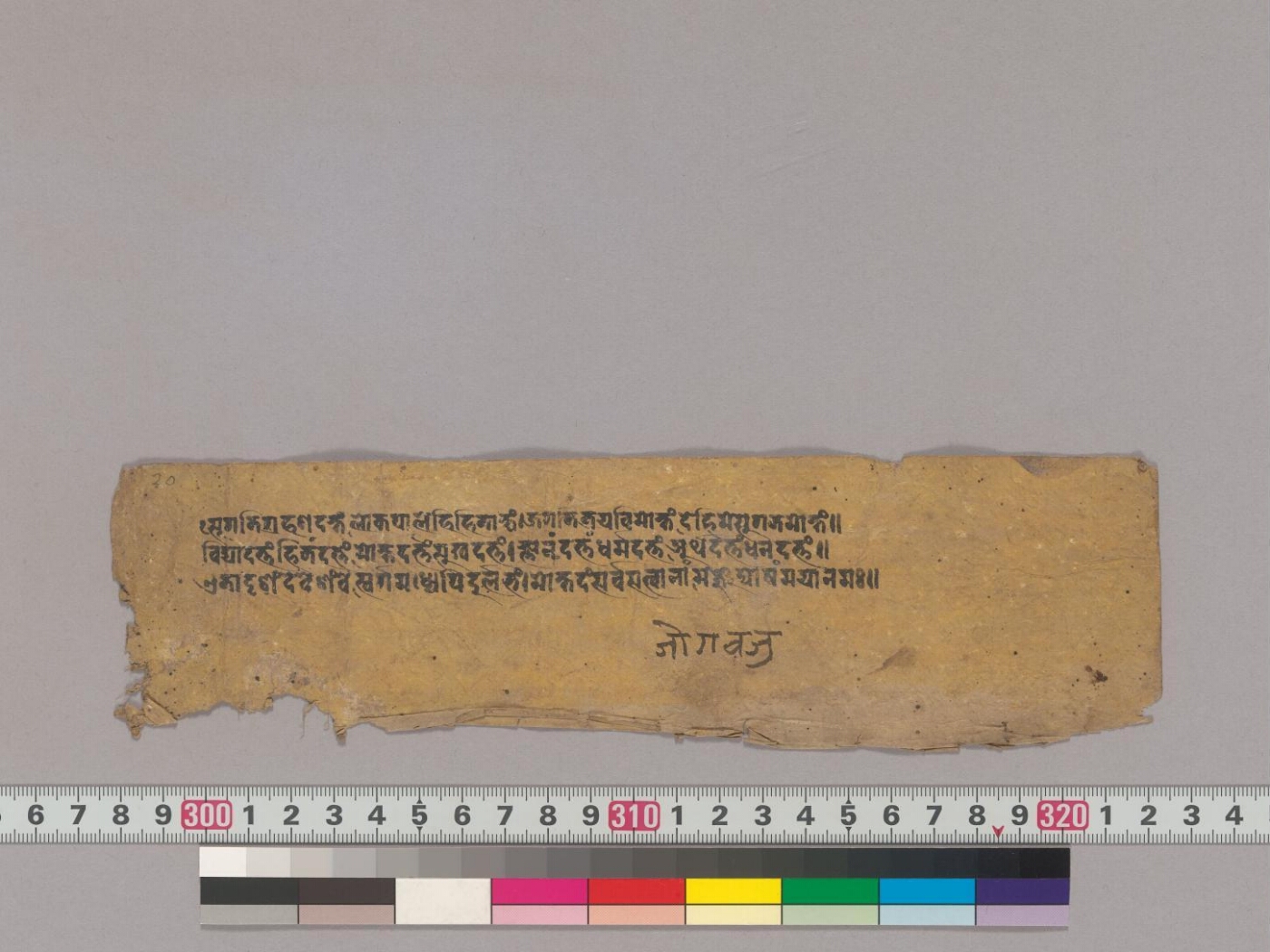 Sukhāvatīvyūha manuscript preview