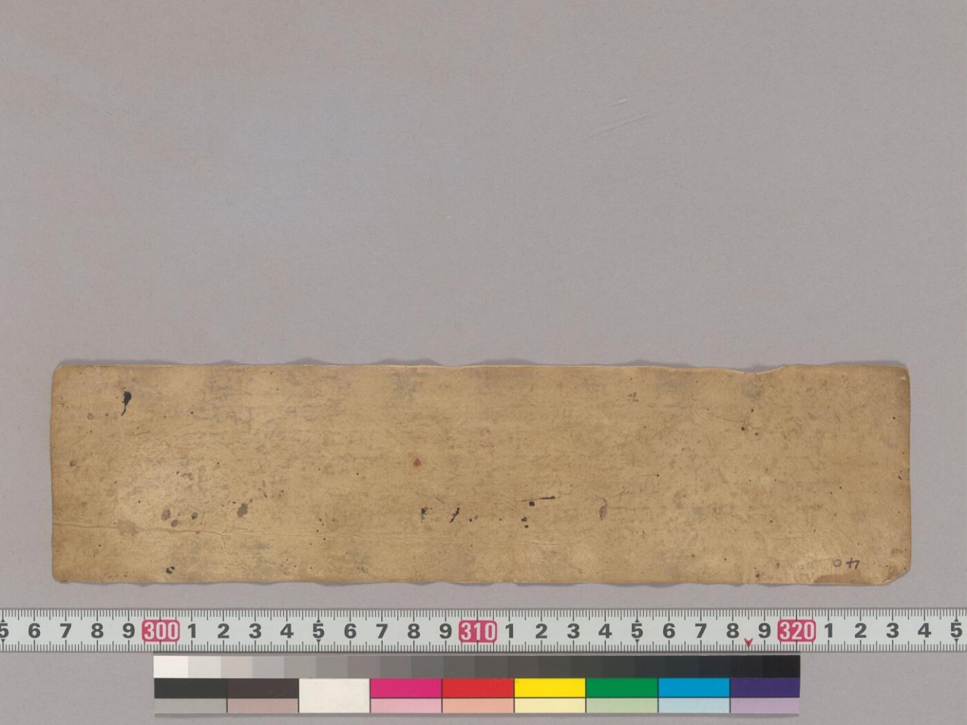 Sukhāvatīvyūha manuscript preview