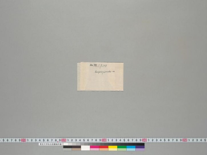 Supriyamahāsārthavāhāvadāna manuscript preview