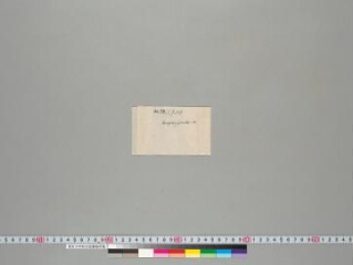 Supriyamahāsārthavāhāvadāna folio 1