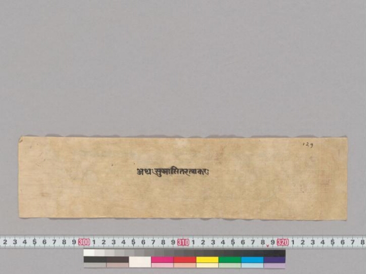 Subhāṣitaratnakaraṇḍaka manuscript preview