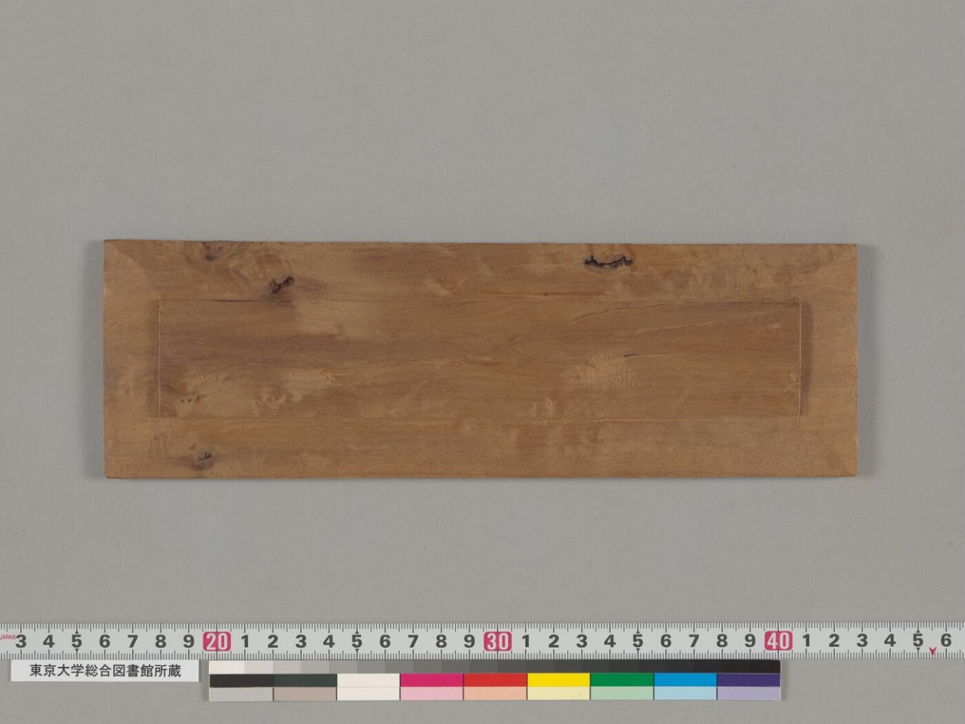 Suvarṇaprabhāsottama-sutrendrarāja manuscript preview