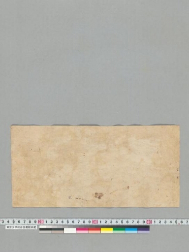 Svapnacintāmaṇi manuscript preview