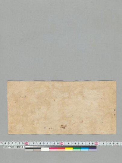 Svapnacintāmaṇi manuscript preview