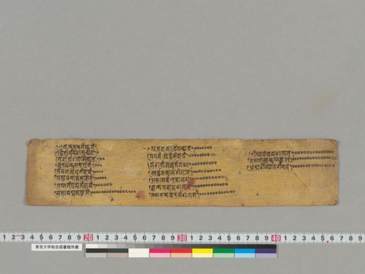 Svayambhū-caitya-bhaṭṭārakoddeśa manuscript preview