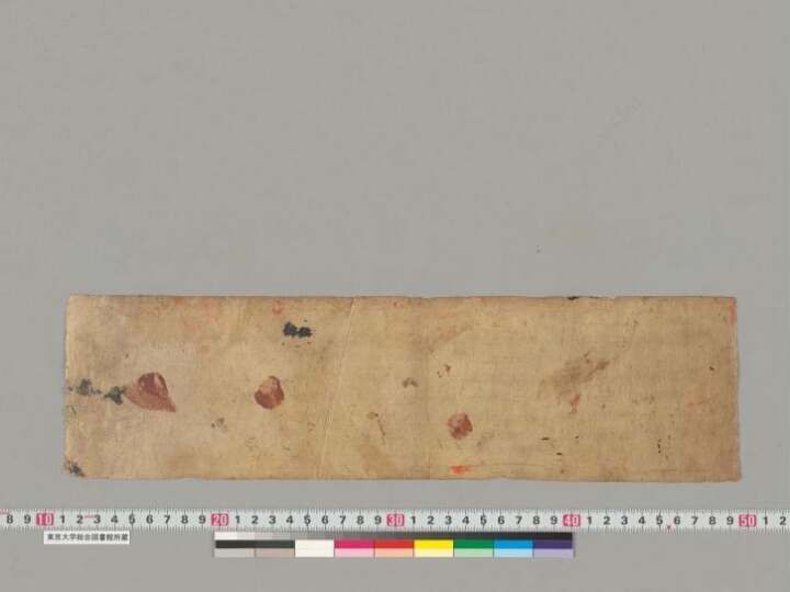 Svayambhū-purāṇa manuscript preview