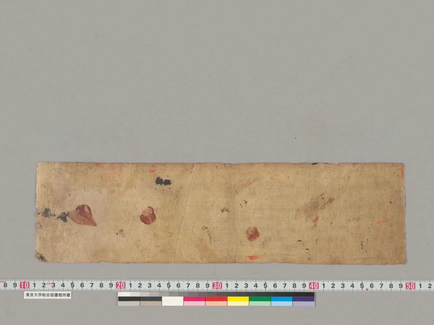 Svayambhū-purāṇa manuscript preview