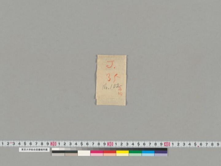 Svayambhū-caityabhaṭṭārakoddeśa manuscript preview