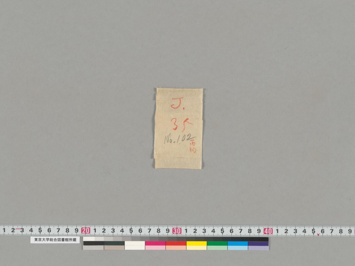 Svayambhū-caityabhaṭṭārakoddeśa manuscript preview