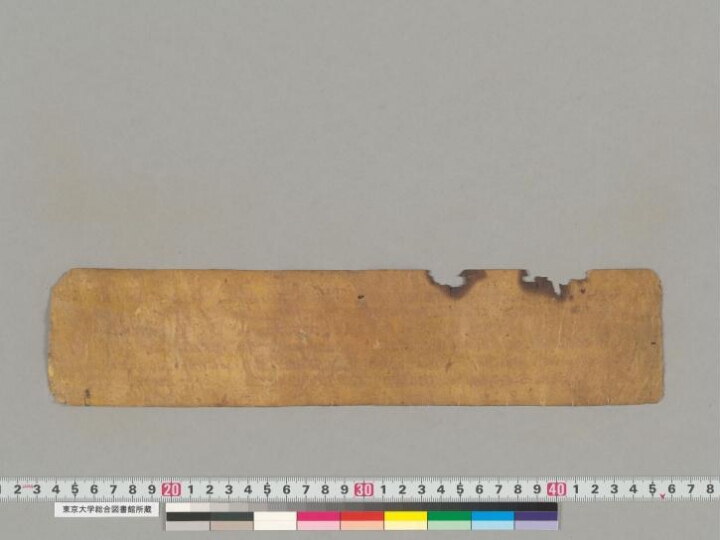 Svayambhū-purāṇa manuscript preview