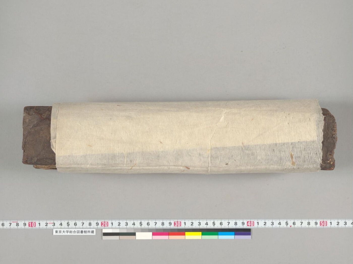 Svayambhū-purāṇa manuscript preview