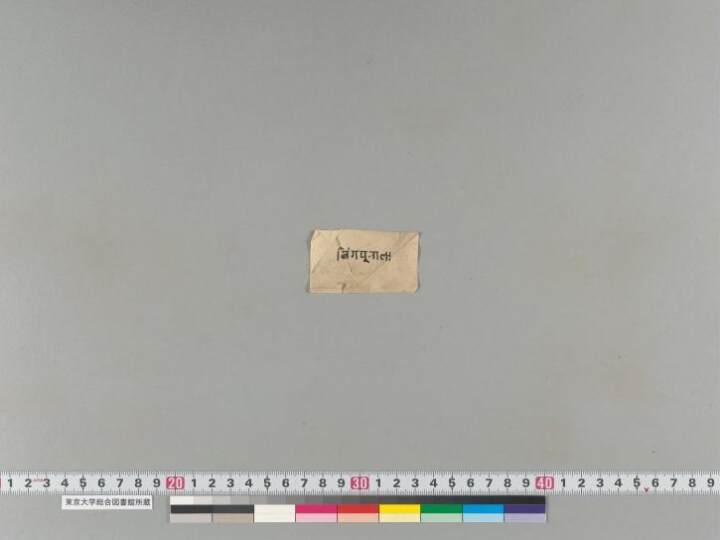 Svasthānīparameśvaradharmavratakathā manuscript preview