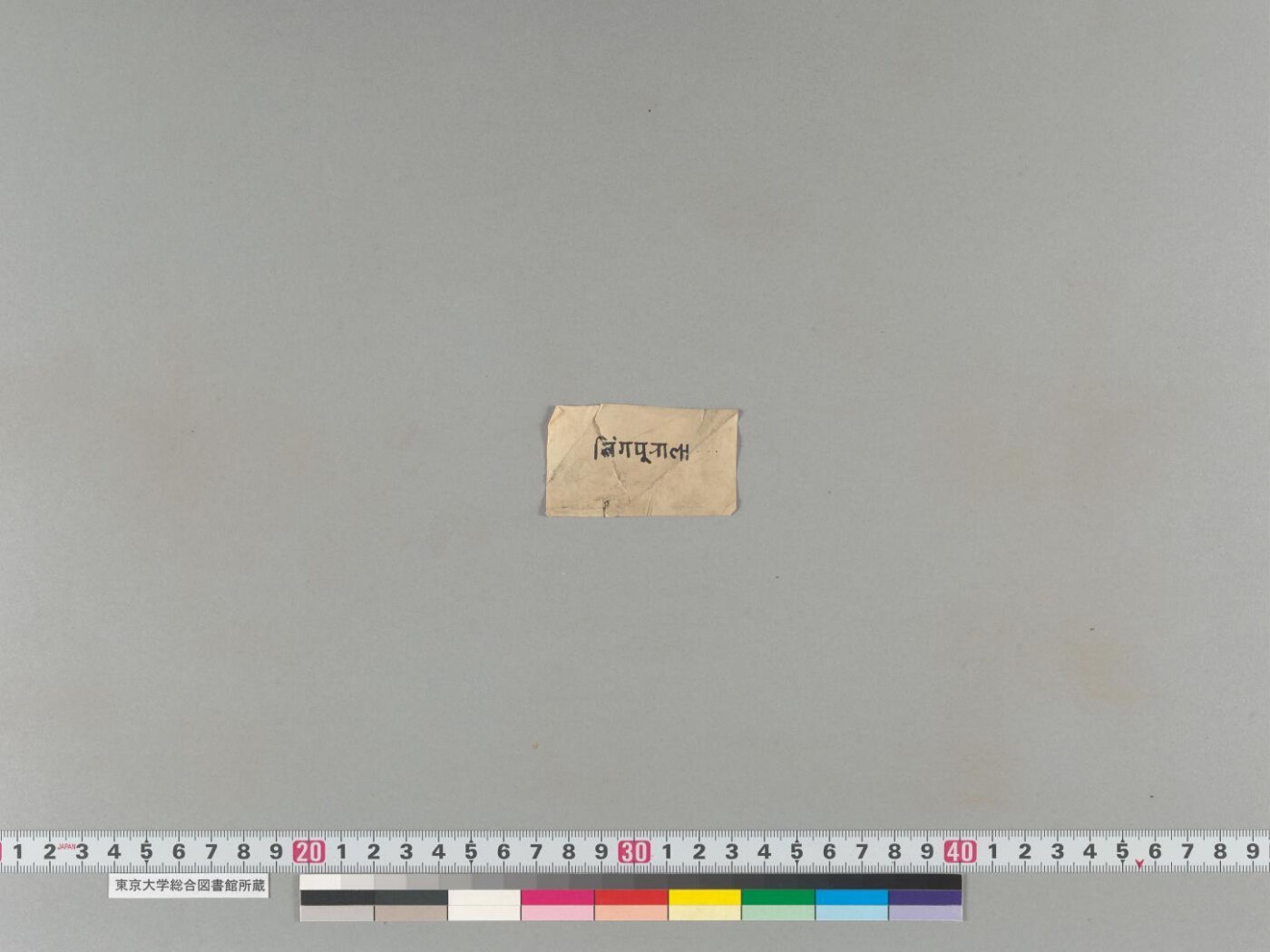 Svasthānīparameśvaradharmavratakathā manuscript preview